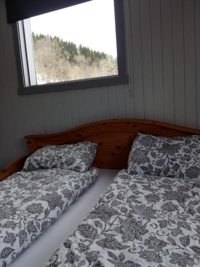 Mountain View House Villa Isfjorden Buitenkant foto